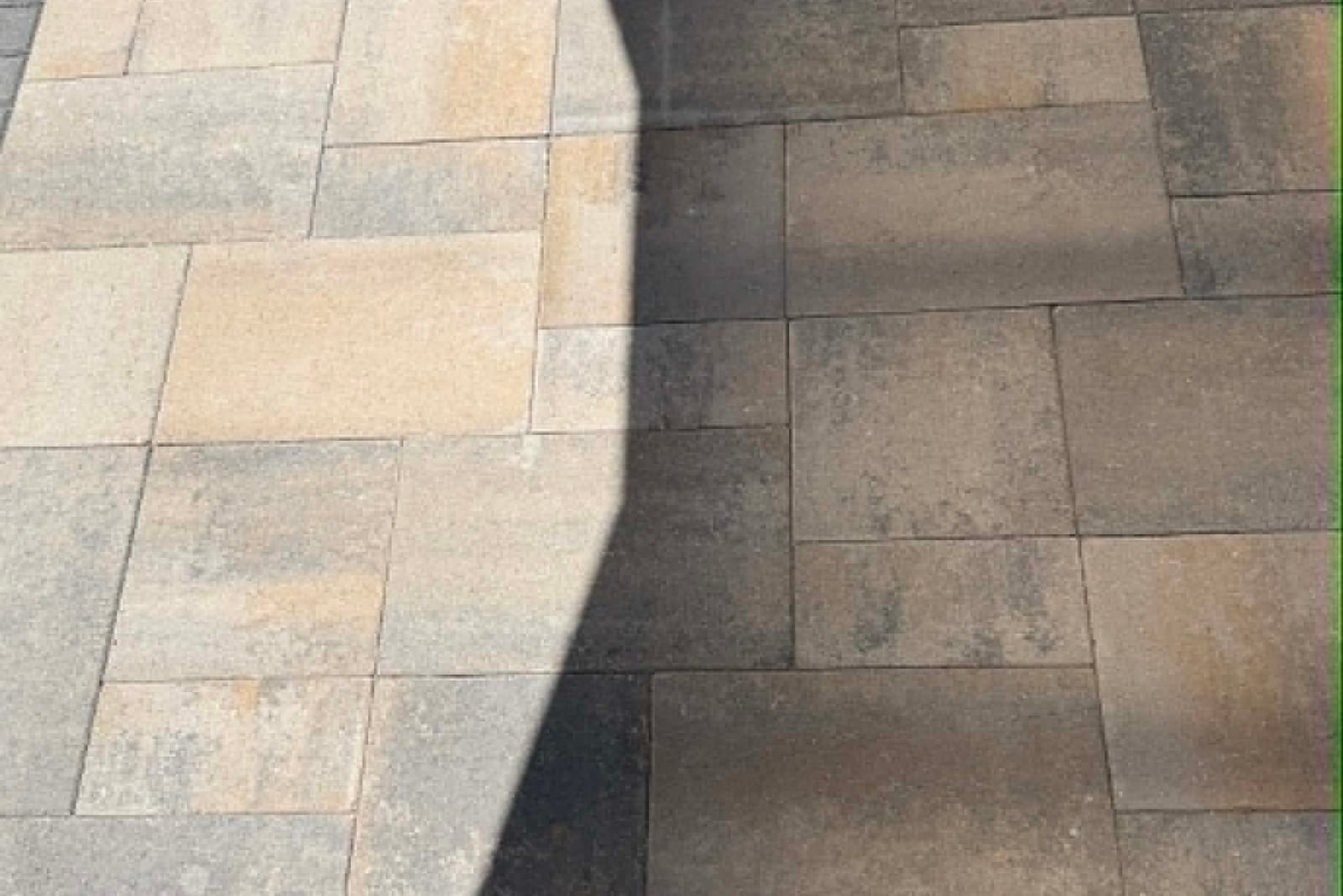 Where the cover ends. Same patio, one side shaded and one side in full sun